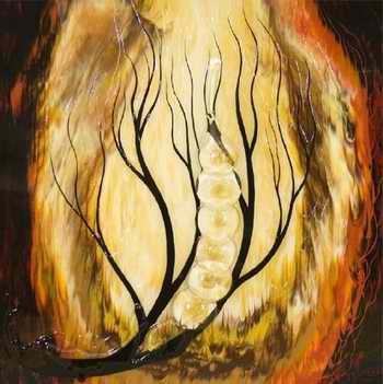 jacques-hebert-collection-2008-metamorph.jpg