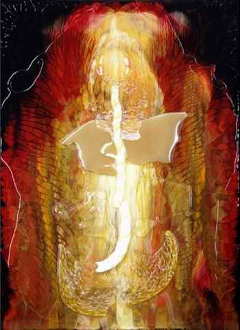 jacques-hebert-flore-transparence_1.jpg