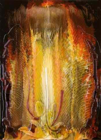 jacques-hebert-un-autre-monde-transparence_4.jpg